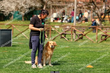 IMG_0964.jpg
