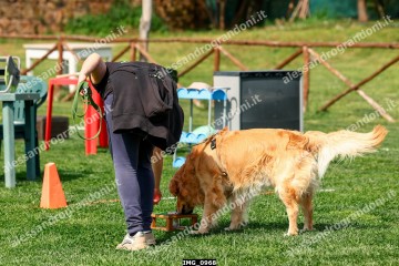 IMG_0968.jpg