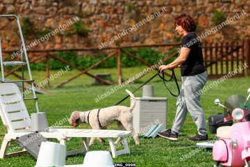 IMG_0998.jpg