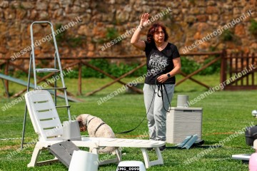 IMG_0999.jpg