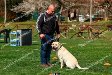 IMG_1013.jpg