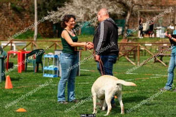 IMG_1017.jpg