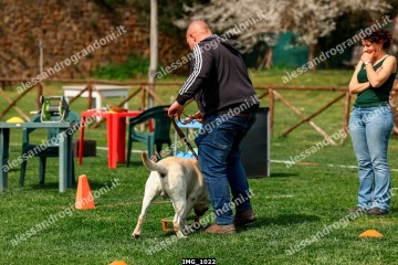 IMG_1022.jpg