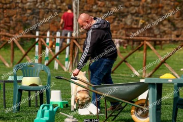 IMG_1040.jpg