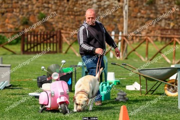 IMG_1064.jpg