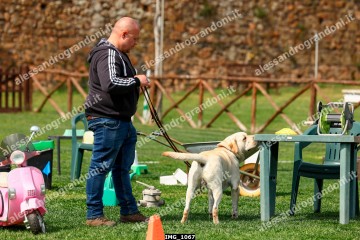 IMG_1067.jpg