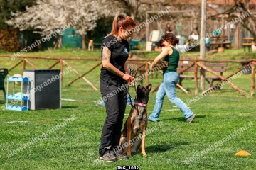 IMG_1082.jpg