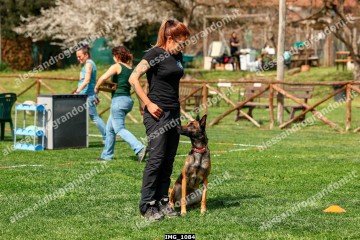 IMG_1084.jpg