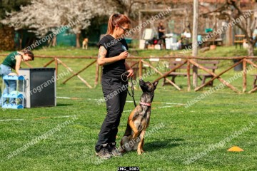 IMG_1087.jpg