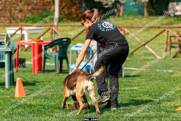 IMG_1096.jpg