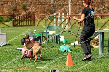 IMG_1098.jpg