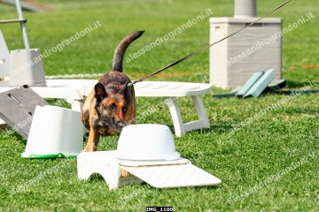 IMG_1100.jpg