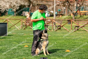 IMG_1146.jpg