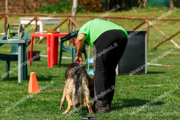 IMG_1153.jpg