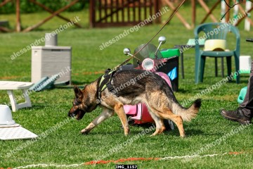 IMG_1157.jpg