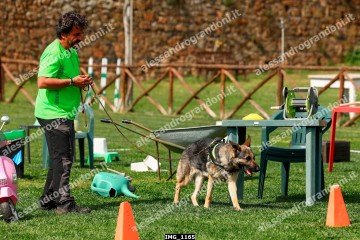 IMG_1165.jpg