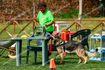 IMG_1170.jpg