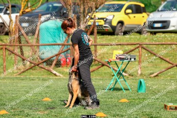 IMG_1186.jpg