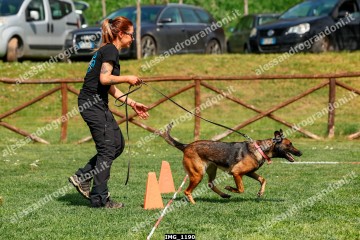 IMG_1190.jpg
