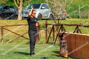 IMG_1209.jpg