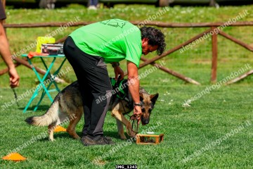 IMG_1243.jpg