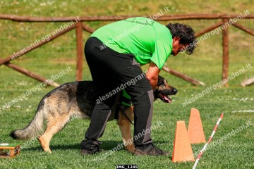 IMG_1245.jpg
