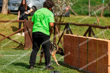 IMG_1249.jpg