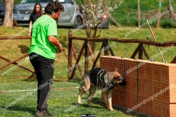 IMG_1250.jpg