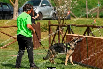 IMG_1252.jpg