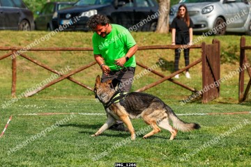 IMG_1266.jpg