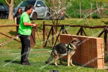 IMG_1267.jpg