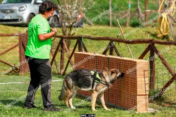 IMG_1292.jpg