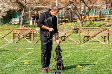 IMG_1339.jpg