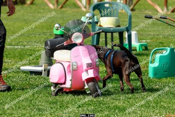 IMG_1361.jpg