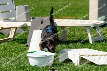 IMG_1363.jpg