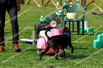 IMG_1366.jpg