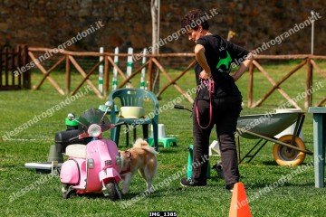 IMG_1385.jpg