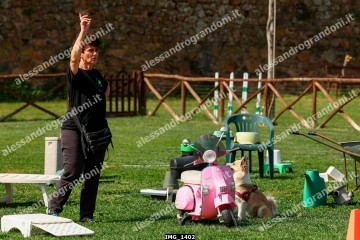 IMG_1402.jpg