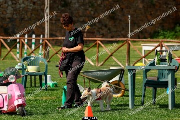IMG_1413.jpg