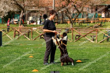 IMG_1422.jpg