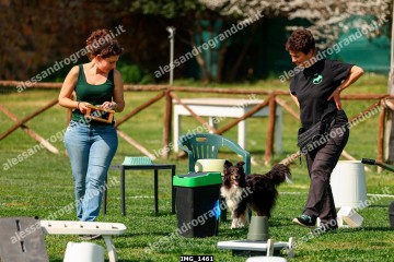 IMG_1461.jpg