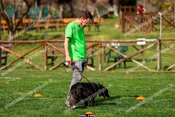 IMG_1468.jpg