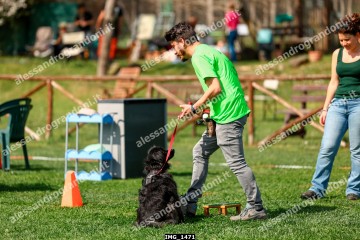 IMG_1471.jpg
