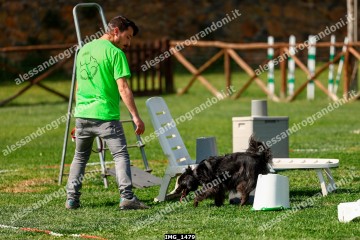 IMG_1479.jpg