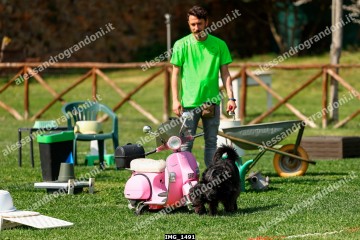 IMG_1491.jpg