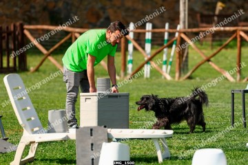 IMG_1500.jpg