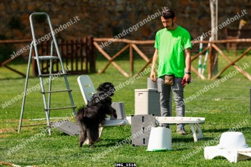 IMG_1518.jpg