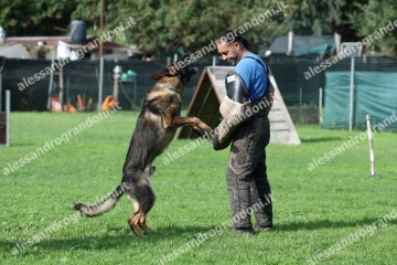IMG_0133.jpg