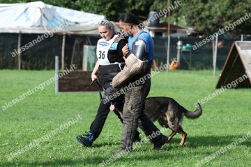 IMG_0181.jpg