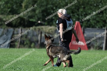 IMG_1622.jpg